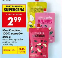 Mus Owolovo 100% owoców