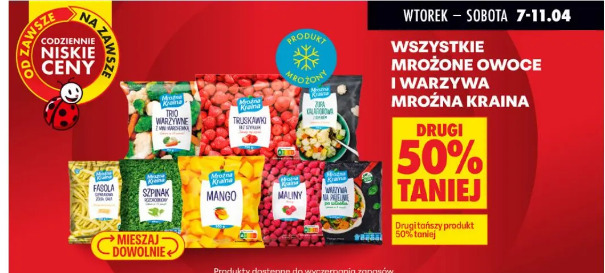 Wszystkie mrożone owoce i warzywa Mrożna Kraina