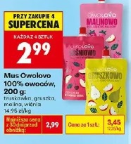 Mus Owolowo 100% owoców