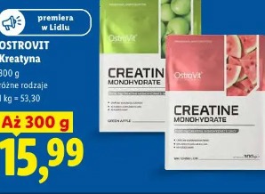 Ostrovit Kreatyna