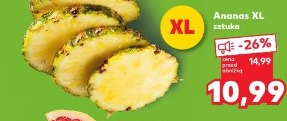 Ananas XL