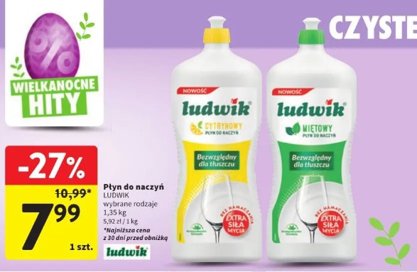 Płyn do naczyń LUDWIK