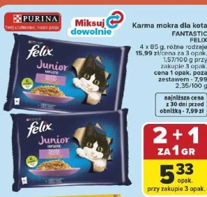 Karma mokra dla kota Fantastic Felix