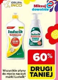 Wszystkie płyny do mycia naczyń marki Ludwik