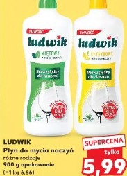 Ludwik Płyn do mycia naczyń różne rodzaje
