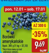 Borówki amerykańskie