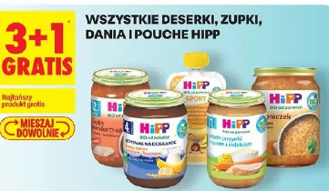 Wszystkie deserki, zupki, dania i pouche Hipp