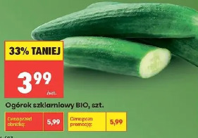 Ogórek szklarniowy BIO