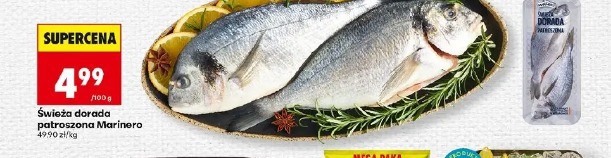 Świeża dorada patroszona Marinero