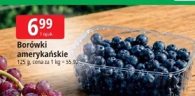 Borówki amerykańskie