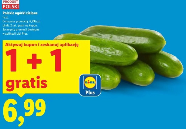 Polskie ogórki zielone