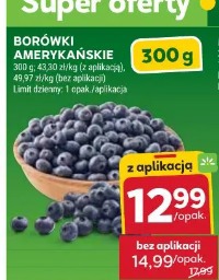 Borówki amerykańskie