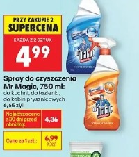 Mr Magic spray do czyszczenia Mr Magic, 750 ml