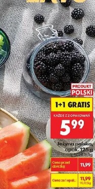 Jeżyna polska