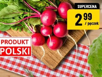 Rzodkiewki
