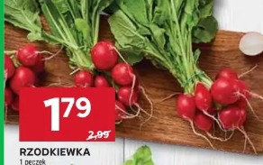 Rzodkiewka