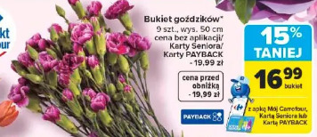 Bukiet goździków