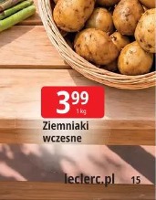 Ziemniaki wczesne