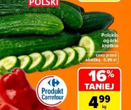 Polskie ogórki krótkie