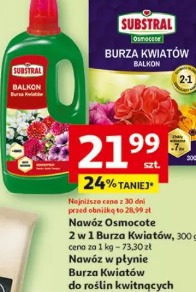 Substral Balkon Burza Kwiatów nawóz Osmocote 2 w 1