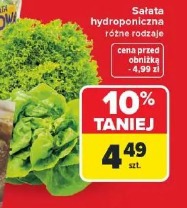 Sałata hydroponiczna