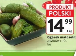 Ogórek małosolny Z Sadów I Pól