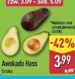 Awokado Hass