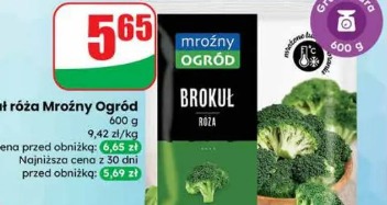 Brokuł róża Mrożny Ogród