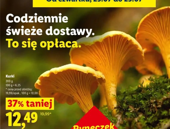 Kurki