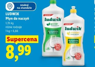 Ludwik Płyn do naczyń