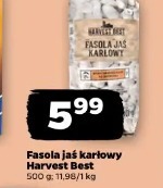 Fasola jaś karłowy Harvest Best