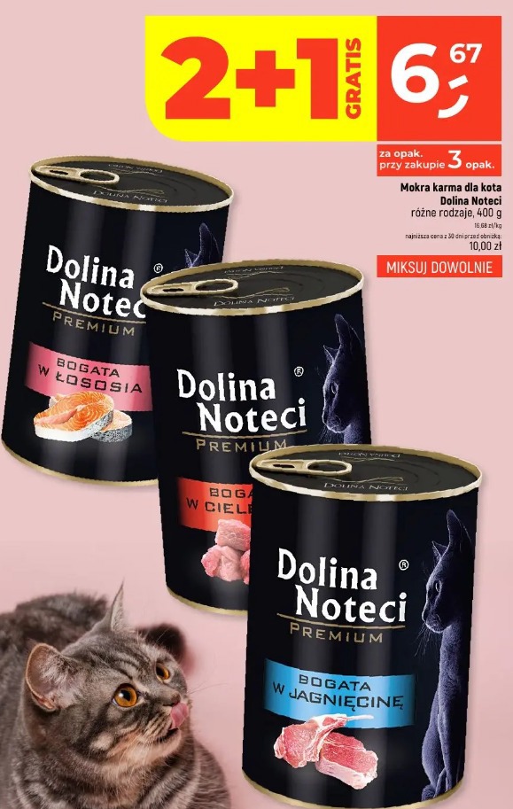Mokra karma dla kota Dolina Noteci