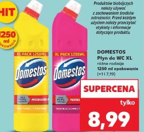 Domestos Płyn do WC XL