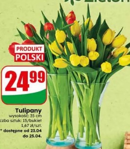 Tulipany