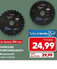 PARKSIDE PERFORMANCE Brzeszczot