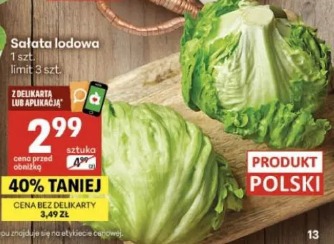 Sałata lodowa