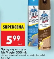 Mr Magic spray czyszczący 300 ml