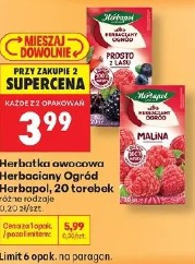 Herbatka owocowa Herbapol Ogród Herbat
