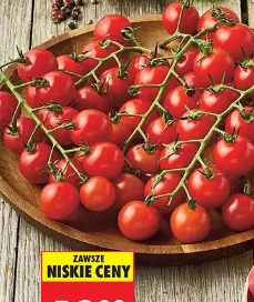 Pomidor cherry gałązka