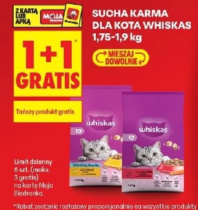 Sucha karma dla kota Whiskas