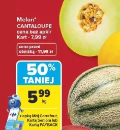 Melon cantaloupe