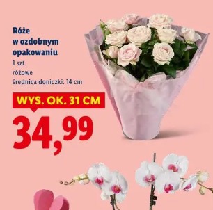 Róże w ozdobnym opakowaniu