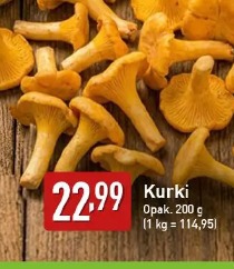 Kurki