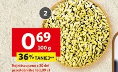 Słonecznik łuskany