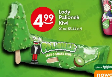 Lody Palionek kiwi