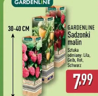 Gardenline Sadzonki malin