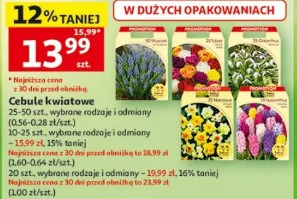 Cebulki kwiatowe