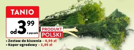 Zestaw do kiszenia, koper ogrodowy