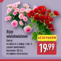Róże wielokwiatowe
