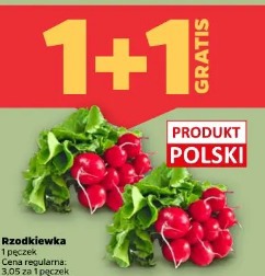 Rzodkiewka